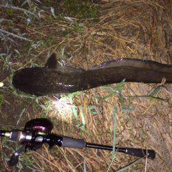 雨+増水+濁り＝絶対